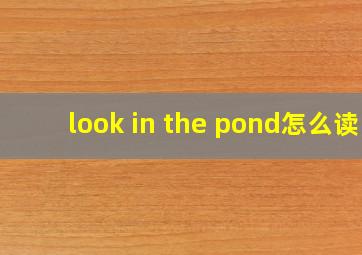 look in the pond怎么读